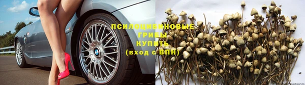 прущие крисы Куйбышев